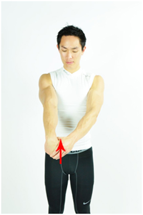 Tennis elbow stretch (anterior view)