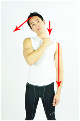 Self trigger point neck stretch (Stage 3)
